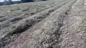 Кошу экспарцет