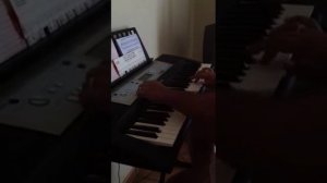 Yamaha psr-e203 seft control