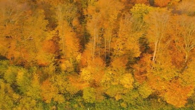 Отсидевший нищеброд спас тонущую в озере мажорку... Любовные истории