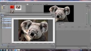 How To Photoshop An Image In Vegas Pro Without Using Photoshop