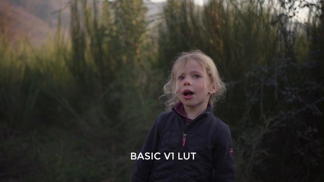 CINEMATIC LUTs for SONY SLOG3   Sony A7S III A7S3 A7C A6400 A6600 A7R4