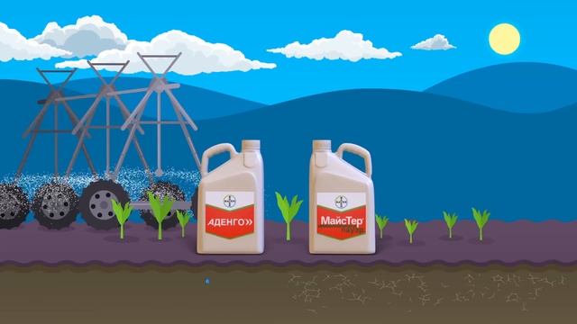 Майстер Пауэр + Аденго - гербицидная защита кукурузы от Bayer смотреть онлайн