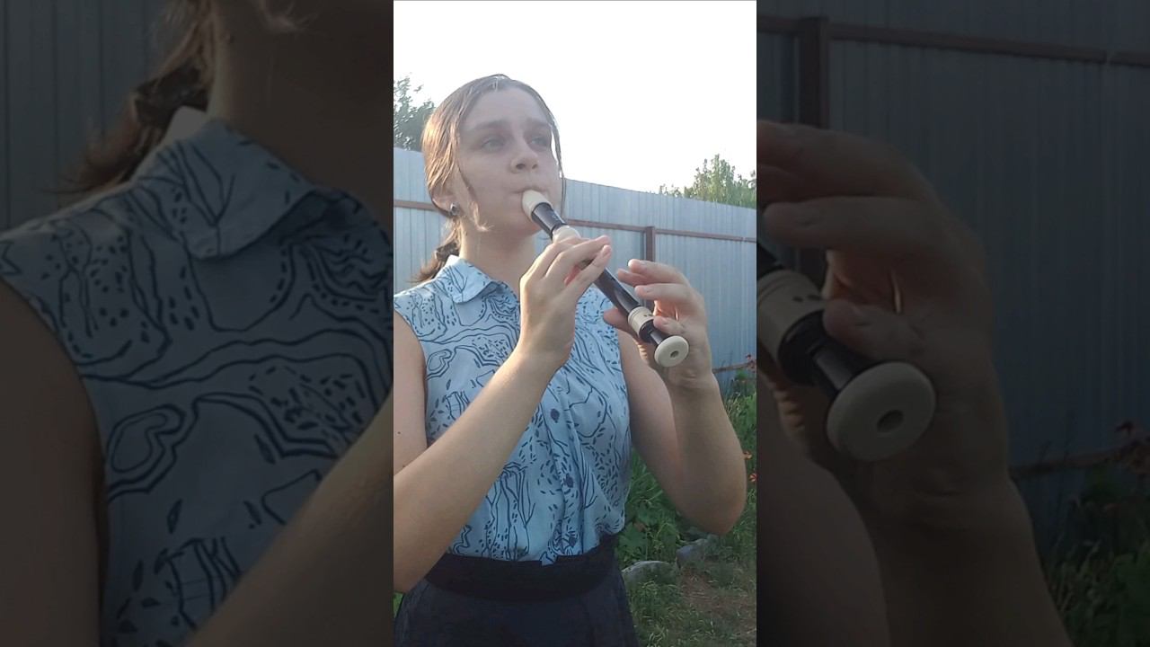 Levan polka #recorder #музыка смотреть онлайн