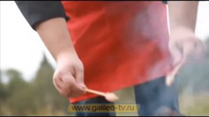 Галилео  Способы 10  Найти еду в лесу