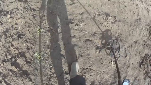 коп с Xp Deus