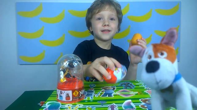 Шоколадные яйца/// киндер сюрприз/// Тайная жизнь домашних животных// видео для детей.игрушки. смотреть онлайн