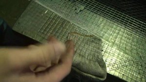 Некачественная сварная сетка от компании Корда (ООО "ТД КОРДА")