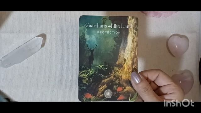 THE SACRED FOREST ORACLE✨️ザセイクレッドフォレストオラクル #オラクルカード紹介動画 смотреть онлайн