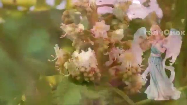 С Добрым Утром Друзья!!! смотреть онлайн