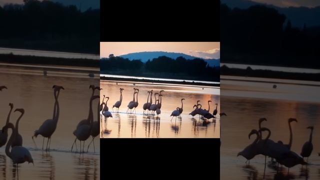 Introducing to you: MacBook Pro 2021 (M1-Pro) 1TB , 14" ? | Beast device смотреть онлайн