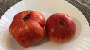 Сорт томата Сладости Вирджинии!