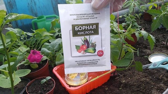 БОРНАЯ КИСЛОТА -КОПЕЕЧНОЕ УБОЙНОЕ СРЕДСТВО ОТ МУРАВЬЁВ!!! смотреть онлайн