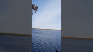 Взяли озеро в аренду постройли домик обзор.