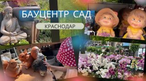 Заехали с Амелией в Бауцентр Сад Краснодар. Узнаем какие растения здесь можно приобрести