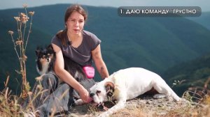 Команда Грусть ? Научить собаку класть голову на пол лапки по команде ?  Обучить замирать грустить