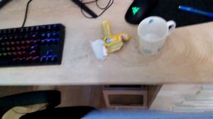 Как выключить подсветку на клавиатуре и колонках