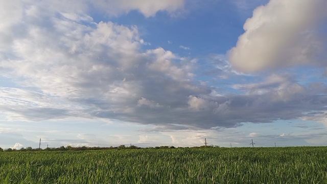 Трансформация организма.