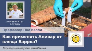 Как применять Апивар от клеща Варроа? Университет г.Гвелф, Канада