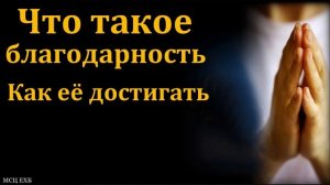 Что такое благодарность и как её достигать. А. Пономарёв. МСЦ ЕХБ