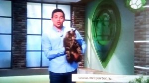 Звериный репортёр 1 место ведущий Дмитрий голубев и кот кира