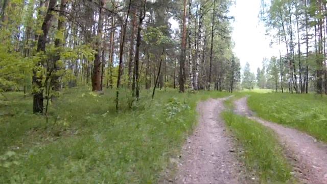 Маршрут Аргуново (через болото) [10/13] От деревни Гостец до брода в Сосновом Бору смотреть онлайн