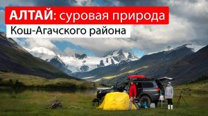 Молчаливый Алтай. Путешествие по Кош-Агачскому району.