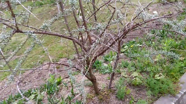 глубокое церковь смотреть онлайн