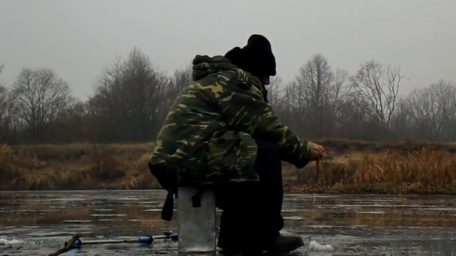 DSCN24411 смотреть онлайн