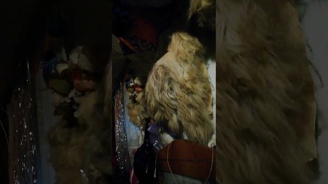 доступная астрология 🌟 клетки почувствуют в Точке рождения влияние на созвездие.mp4 смотреть онлайн