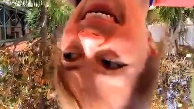 Добыча золота детьми в школе ЛА как урок истории