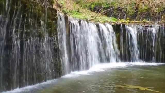 Fernand Perreault La Samba des Poêtes edit 5p4] смотреть онлайн