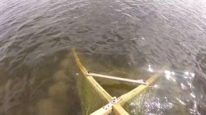 Рыбалка на плавающие крючки с поплавком! Ловим креветку на ловушку!