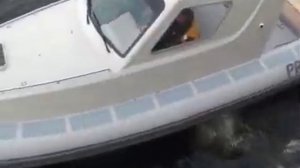 Скоростной каютный катер RIB RX-850HT с закрытой кабиной