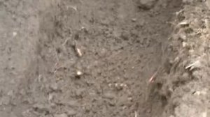 Как сделать коптильню быстро