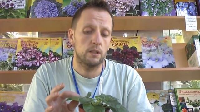 ДФ.  И.Рачков: Подготовка сенполий к цветению