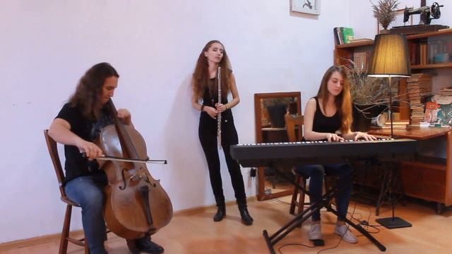 The Cranberries "Zombie" instrumental cover by Anima Duet&CelloEd смотреть онлайн