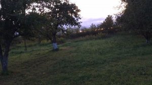 ЛЮБУЮ БОЛЕЗНЬ МОЖНО ПОБЕДИТЬ. ЦЕЛИТЕЛЬ СВЕТЛАНА ЮРЬЕВНА