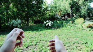 КОРОЧЕ ГОВОРЯ, ВИРУС [От первого лица] (КАРАНТИН, ЗАРАЖЕНИЕ, ЗОМБИ АПОКАЛИПСИС В РЕАЛЬНОЙ ЖИЗНИ)