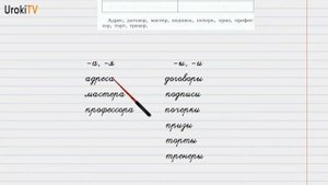 Упражнение №8 — Гдз по русскому языку 6 класс (Ладыженская) 2019 часть 1