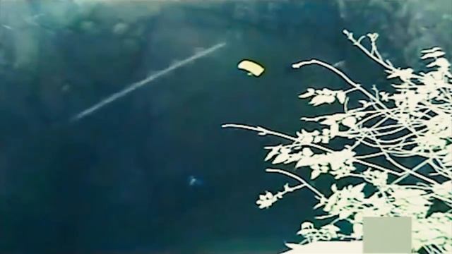 ВСЯ ПРАВДА О НЕБЕСНЫХ  РЫБАХ - Летающие Стержни (Шнеки Или Скайфиш) / Интересные Факты