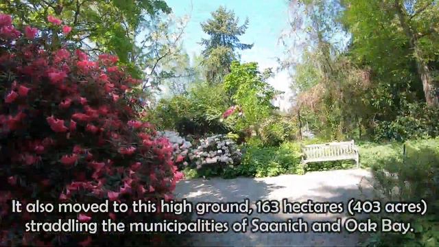 Rhododendron Hunting in the University of Victoria's Finnerty Gardens смотреть онлайн