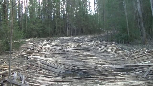 Кто успел, тот и съел #147 смотреть онлайн