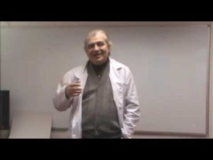 Селерегц (А.Н. Алименко)