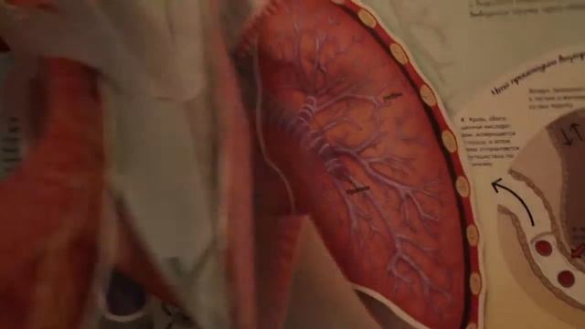 В главном офисе Билайн сошли с ума! смотреть онлайн