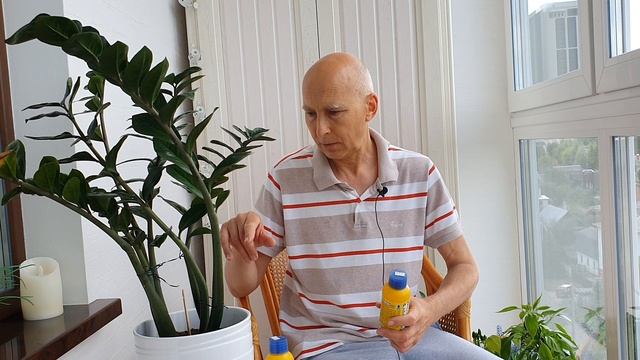 Замиокулькас : подкормка. Коротко о главном. смотреть онлайн