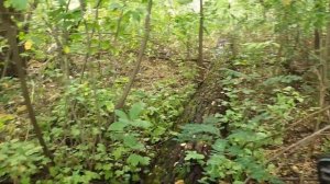 Строим беседку в лесу.Причал для рыбалки.Часть 3.