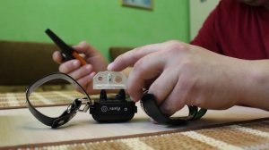 Электронный ошейник для собак с Aliexpress (Ipets PET619), отзывы, дрессировка