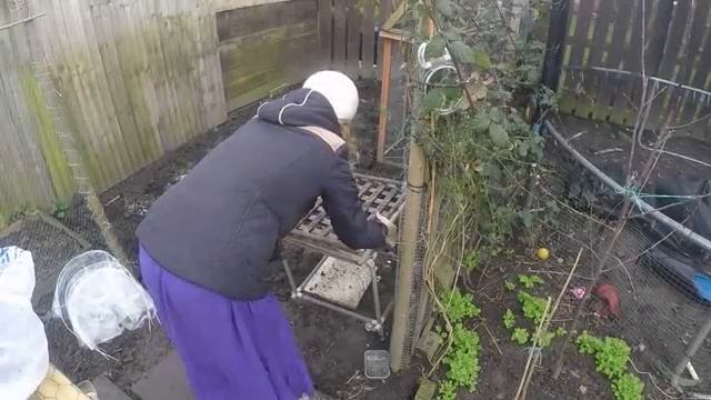 Сажаем картошку в Апреле // Дела садовые смотреть онлайн