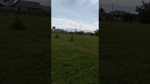Аллея село Ленино