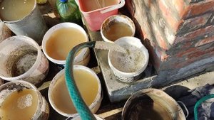 Выкачиваю насосом воду из погреба в апреле!
